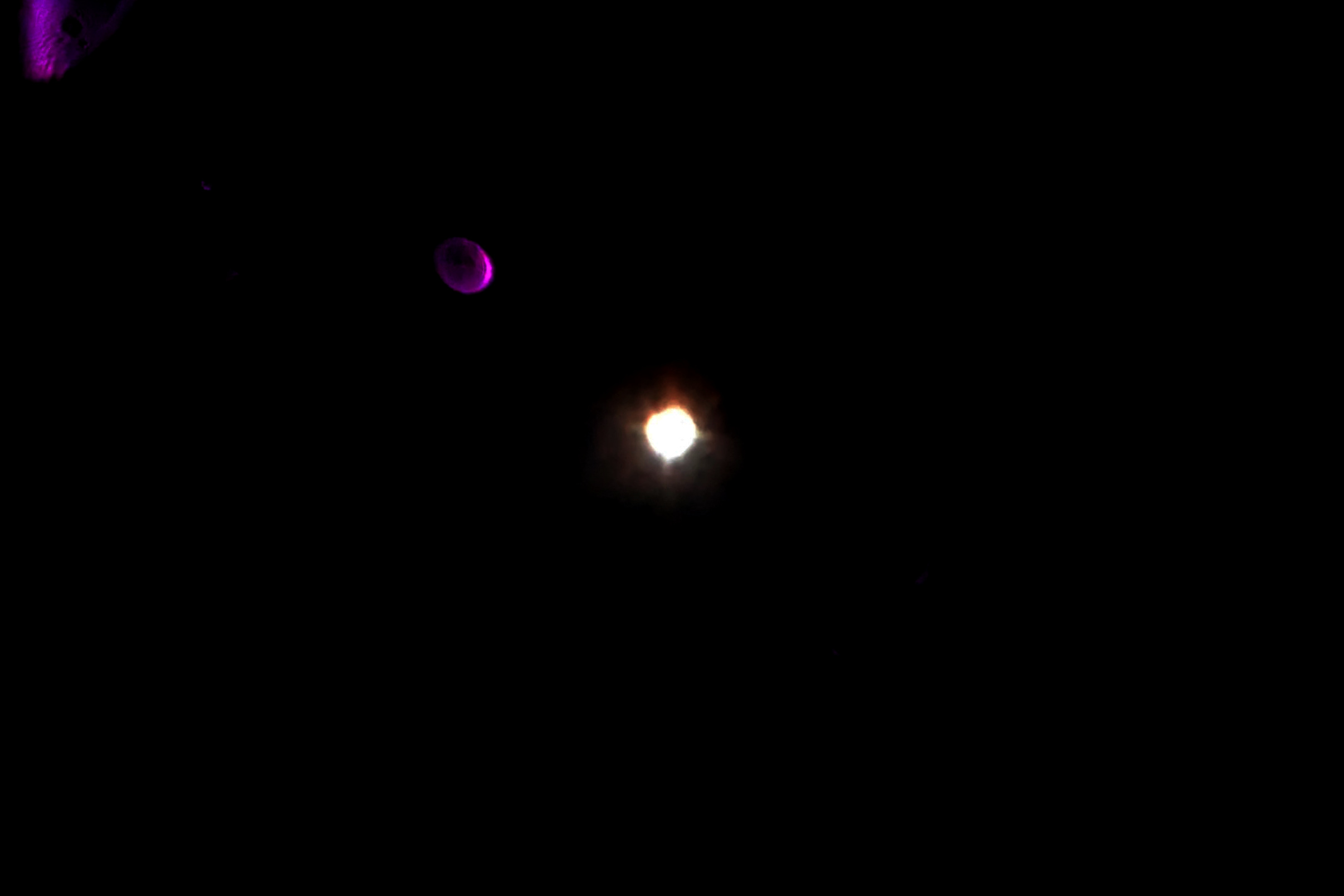 Venus