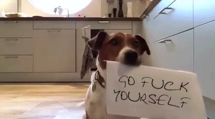 Go fuck yourself