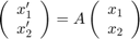 $$
\left(\begin{array}{c} x_1'\\ x_2'\end{array}\right) =
A\left(\begin{array}{c} x_1 \\ x_2\end{array}\right)
$$