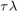 $\tau\lambda$