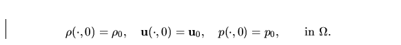 \begin{displaymath}
\rho(\cdot,0) =\rho_0,\quad{\bf u}(\cdot,0)={\bf u}_0,\quad 
p(\cdot,0) = p_0,\qquad \mbox{in } \Omega.\end{displaymath}
