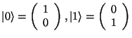 $\vert\rangle = \left(\begin {array}{c} 1 \\ 0 \\ \end{array}\right),
\vert 1\rangle = \left(\begin {array}{c} 0 \\ 1 \\ \end{array}\right)$