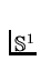 $\mathbb{S}^1$