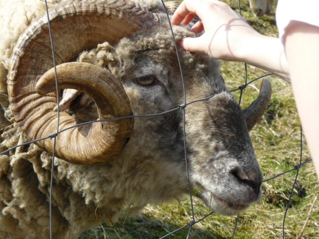 photo24.jpg