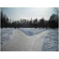 DSCN0007.jpg