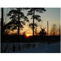 DSCN0166.jpg