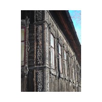 tomsk_drevDSCN0283.jpg