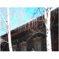 tomsk_drevDSCN0284.jpg